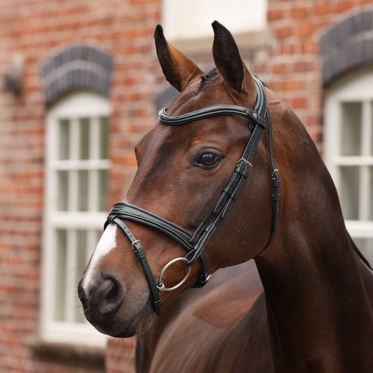 Velociti LUSSO Opus 180M Padded Flash Bridle - Ashurst Equestrian & Country