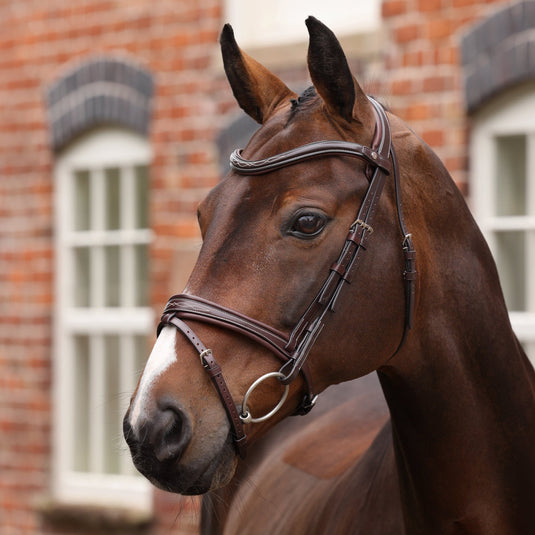 Velociti LUSSO Opus 180M Padded Flash Bridle - Ashurst Equestrian & Country