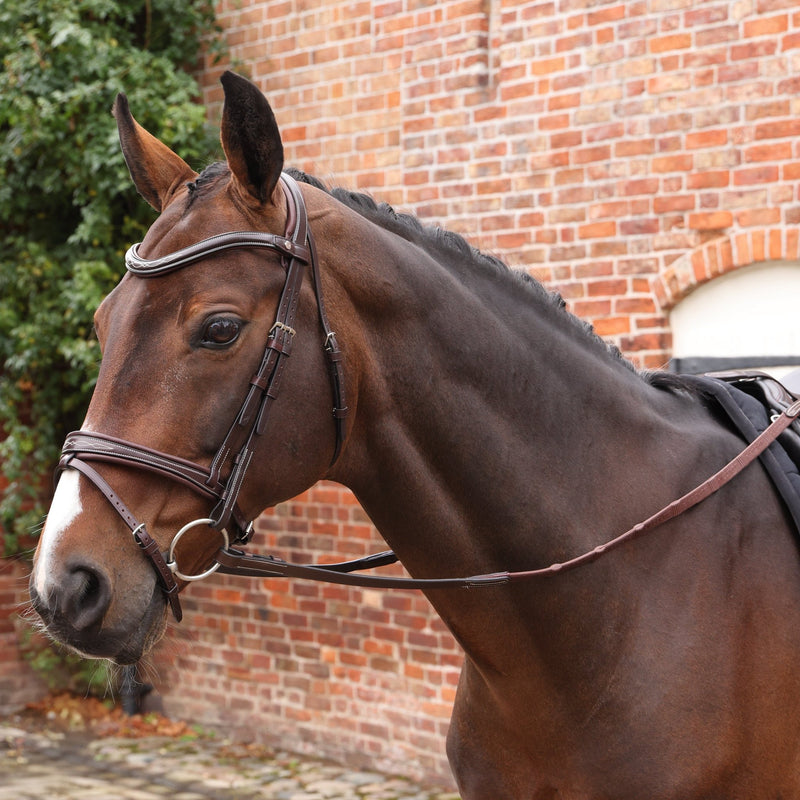 Load image into Gallery viewer, Velociti LUSSO Opus Pro SureGrip Reins  - Ashurst Equestrian &amp; Country
