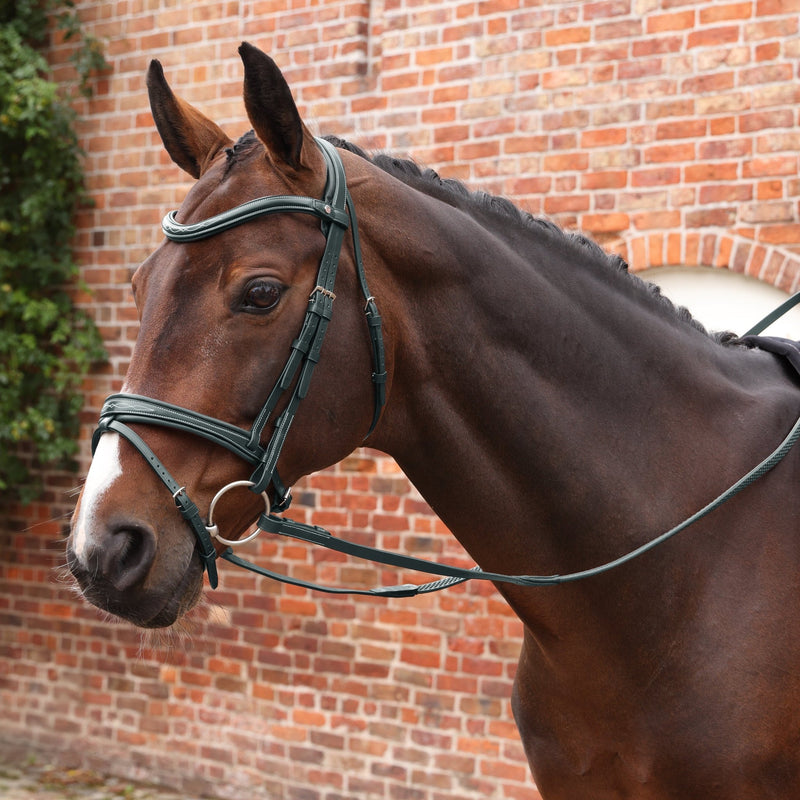Load image into Gallery viewer, Velociti LUSSO Opus Pro SureGrip Reins  - Ashurst Equestrian &amp; Country
