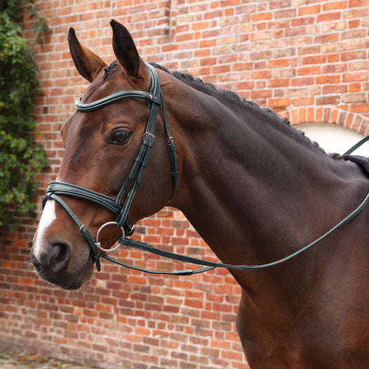 Velociti LUSSO Opus Pro SureGrip Reins  - Ashurst Equestrian & Country