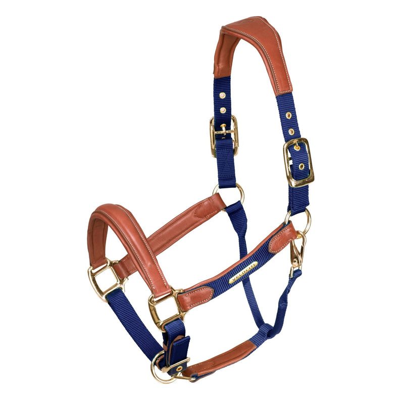 Load image into Gallery viewer, Velociti Lusso Padded Leather Headcollar - Ashurst Equestrian &amp; Country
