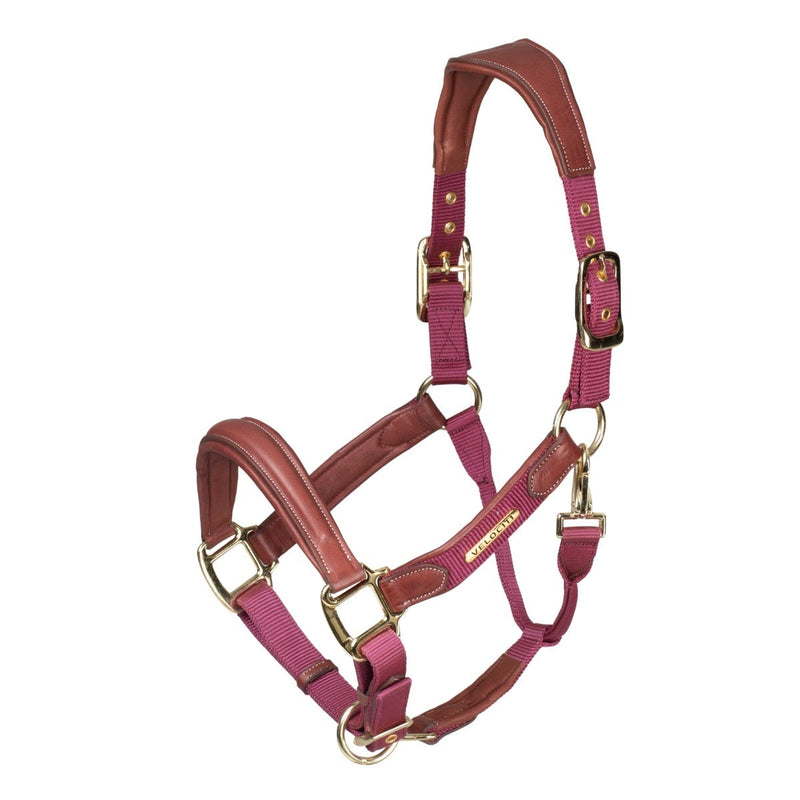 Load image into Gallery viewer, Velociti Lusso Padded Leather Headcollar - Ashurst Equestrian &amp; Country
