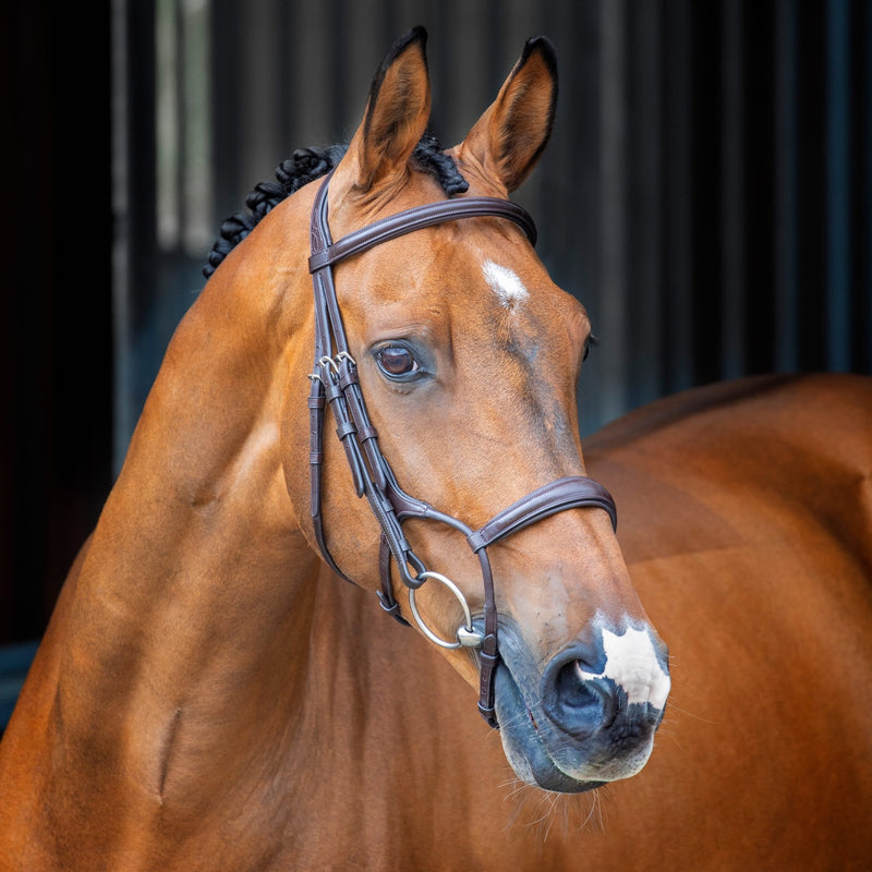Load image into Gallery viewer, Velociti Lusso Rolled Padded Cavesson Bridle - Ashurst Equestrian &amp; Country
