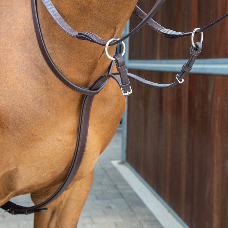 Load image into Gallery viewer, Velociti Lusso Running Martingale - Ashurst Equestrian &amp; Country
