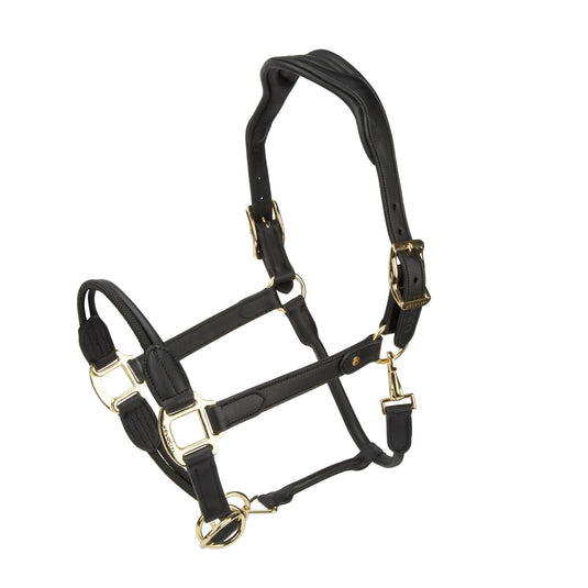 Velociti Lusso Soria Control Leather Headcollar - Ashurst Equestrian & Country
