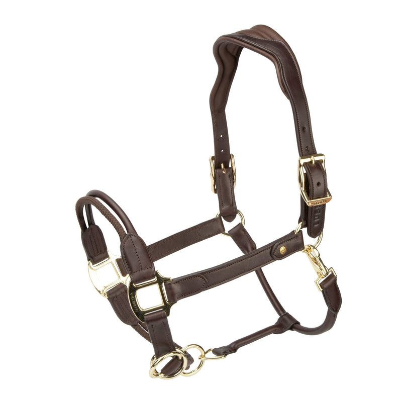 Load image into Gallery viewer, Velociti Lusso Soria Control Leather Headcollar - Ashurst Equestrian &amp; Country
