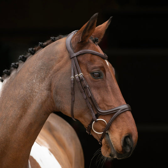 Velociti RAPIDA Comfort Flash Bridle - Ashurst Equestrian & Country