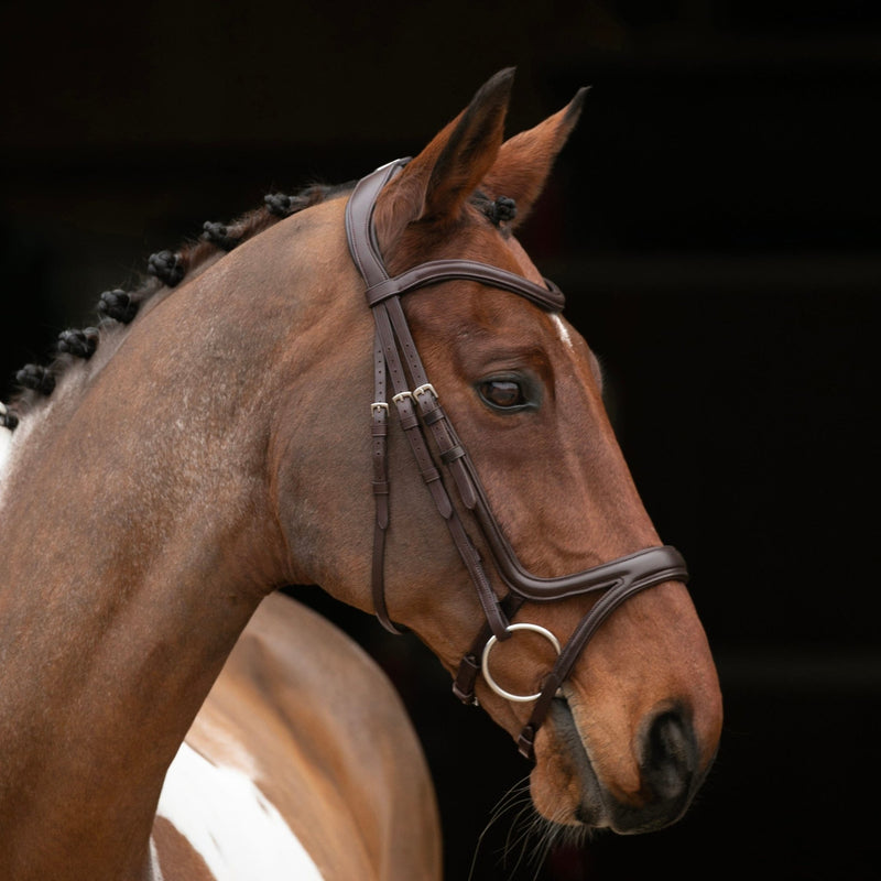 Load image into Gallery viewer, Velociti RAPIDA Comfort Flash Bridle - Ashurst Equestrian &amp; Country
