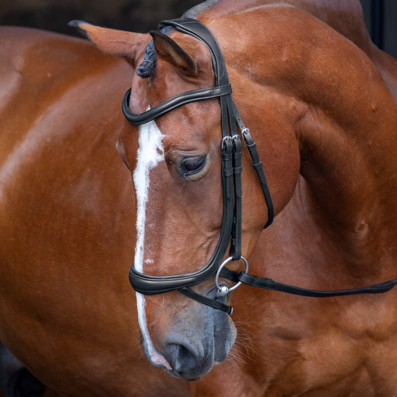 Load image into Gallery viewer, Velociti RAPIDA Ergonomic Curved Flash Bridle - Ashurst Equestrian &amp; Country
