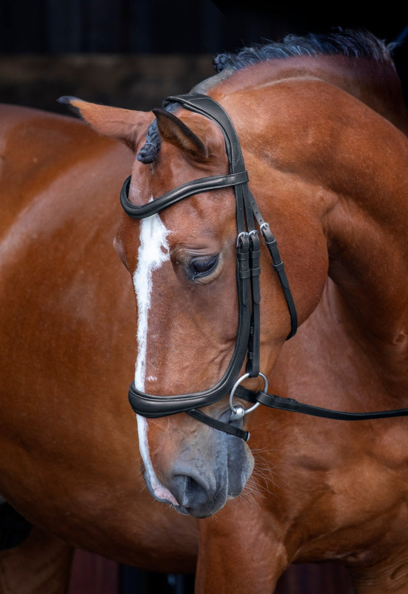 Load image into Gallery viewer, Velociti RAPIDA Ergonomic Curved Flash Bridle - Ashurst Equestrian &amp; Country

