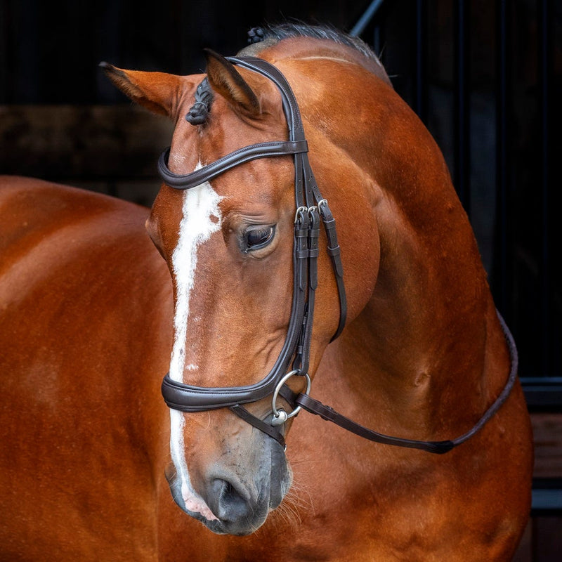 Load image into Gallery viewer, Velociti RAPIDA Ergonomic Curved Flash Bridle - Ashurst Equestrian &amp; Country
