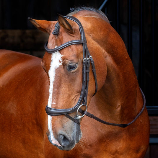Velociti RAPIDA Ergonomic Curved Flash Bridle - Ashurst Equestrian & Country