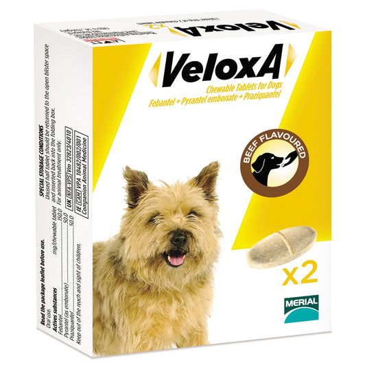 Veloxa Chewable Tablets For Dogs - Ashurst Equestrian & Country