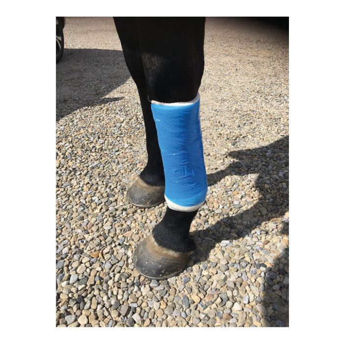 Load image into Gallery viewer, Vetcling Veterinary Film Wrap - 100mm x 50m
