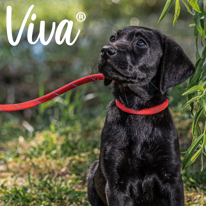 Load image into Gallery viewer, Viva Rope Slip Lead 120cm x 1cm - various colours - Ashurst Equestrian &amp; Country
