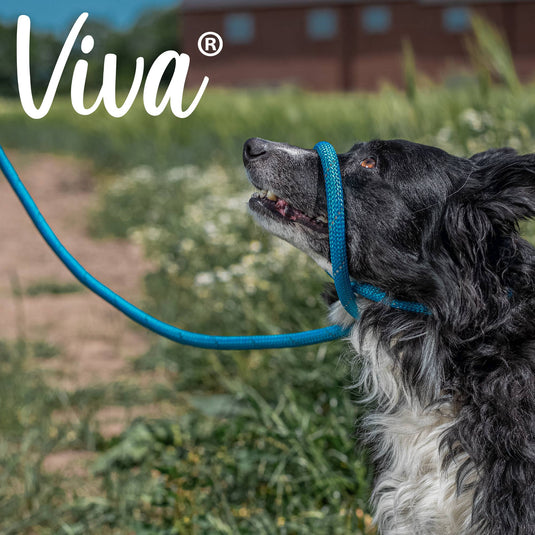 Viva Rope Slip Lead 120cm x 1cm - various colours - Ashurst Equestrian & Country