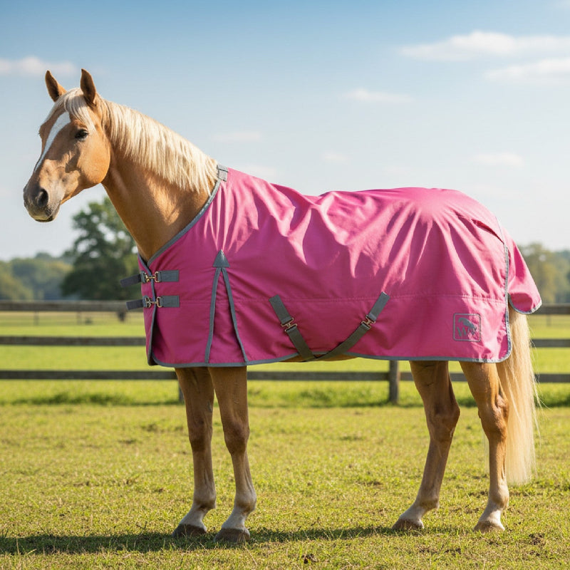 Load image into Gallery viewer, W Horse Whr1 0 G Standard Turnout Rug Pink/Grey - Ashurst Equestrian &amp; Country
