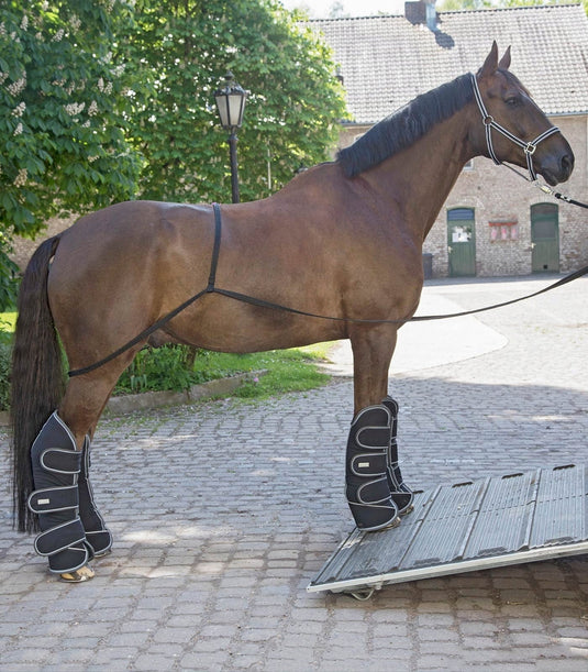 Waldhausen Loading Aid - Ashurst Equestrian & Country