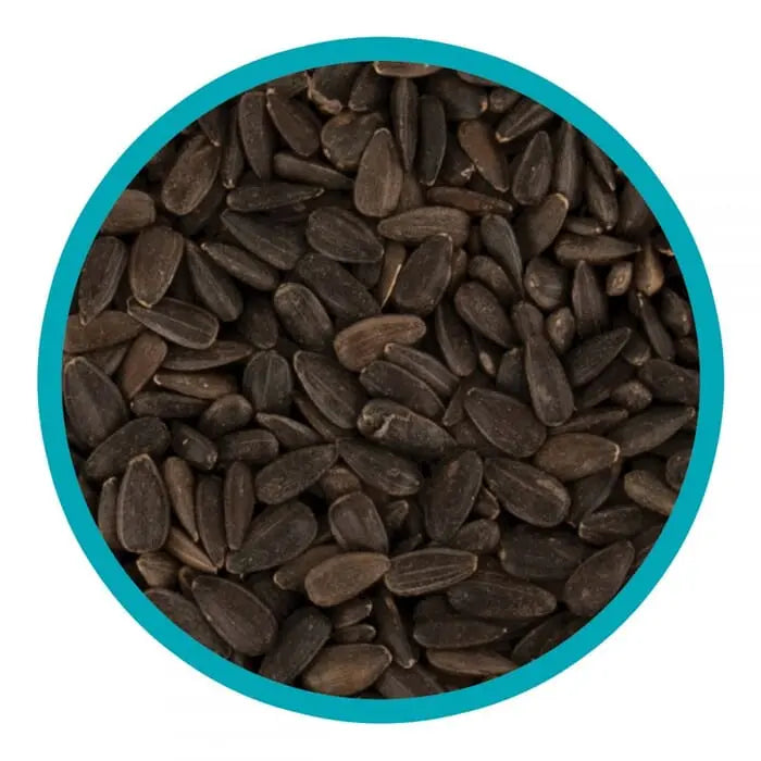Load image into Gallery viewer, Harrisons Black Sunflower 1.6kg

