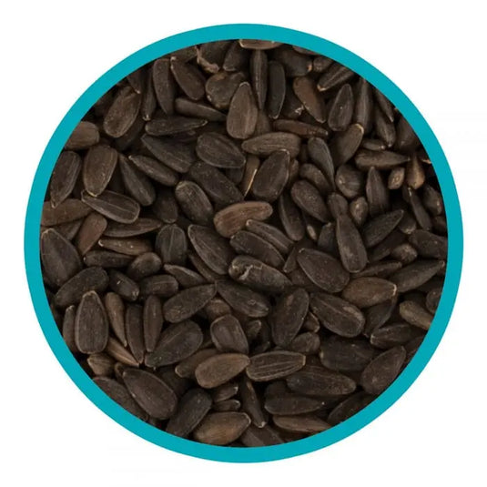 Harrisons Black Sunflower 1.6kg