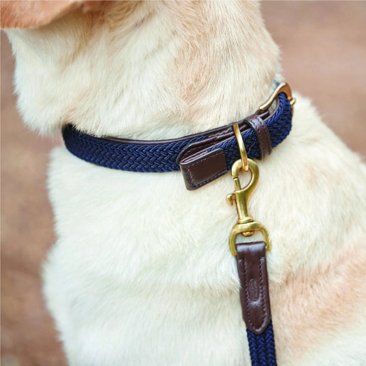 Weatherbeeta Leather Plaited Dog Collar - Ashurst Equestrian & Country