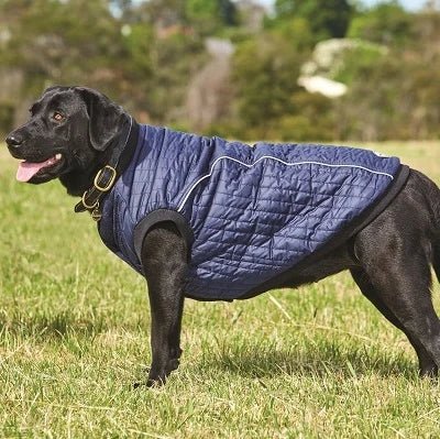 Load image into Gallery viewer, Weatherbeeta Padded Dog Coat - Ashurst Equestrian &amp; Country
