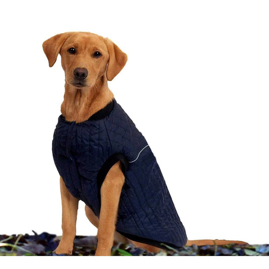 Weatherbeeta Padded Dog Coat - Ashurst Equestrian & Country