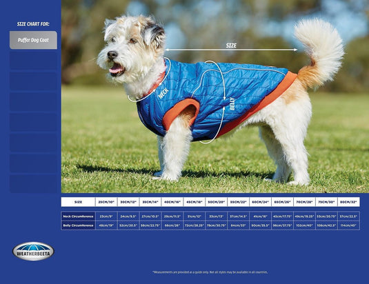 Weatherbeeta Padded Dog Coat - Ashurst Equestrian & Country