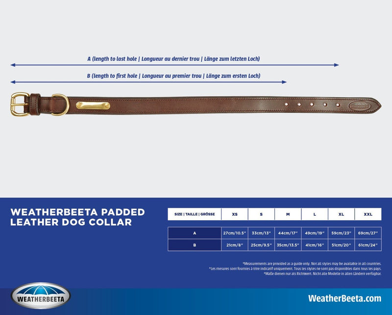 Load image into Gallery viewer, Weatherbeeta Padded Leather Dog Collar - Ashurst Equestrian &amp; Country
