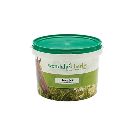 Wendals Booster - Ashurst Equestrian & Country
