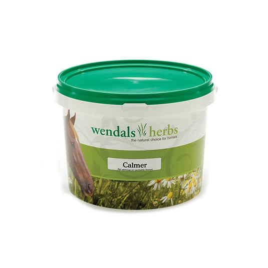 Wendals Calmer - Ashurst Equestrian & Country