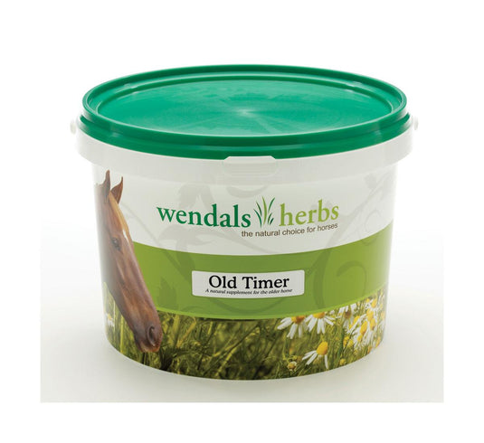 Wendals Old Timer - Ashurst Equestrian & Country