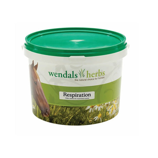 Wendals Respiration - Ashurst Equestrian & Country