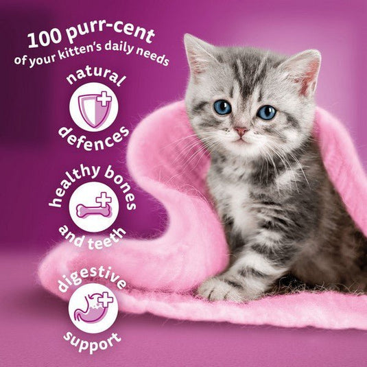 WHISKAS Kitten 2-12 Months Complete Dry Cat Food with Chicken 800g - Ashurst Equestrian & Country
