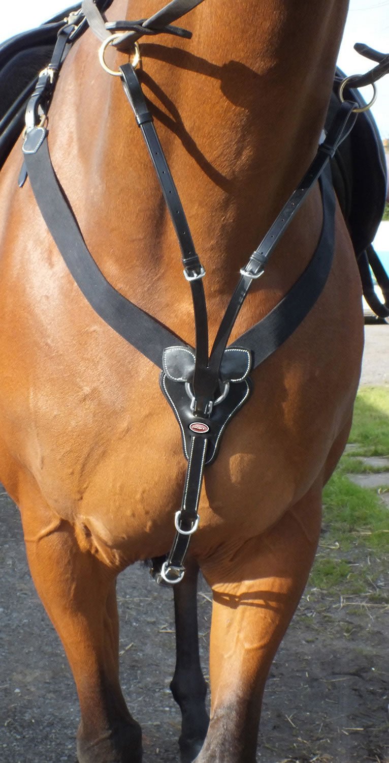 Load image into Gallery viewer, Whitaker Bp048 Av Eastwood Elasticated Breastplate Black - Ashurst Equestrian &amp; Country
