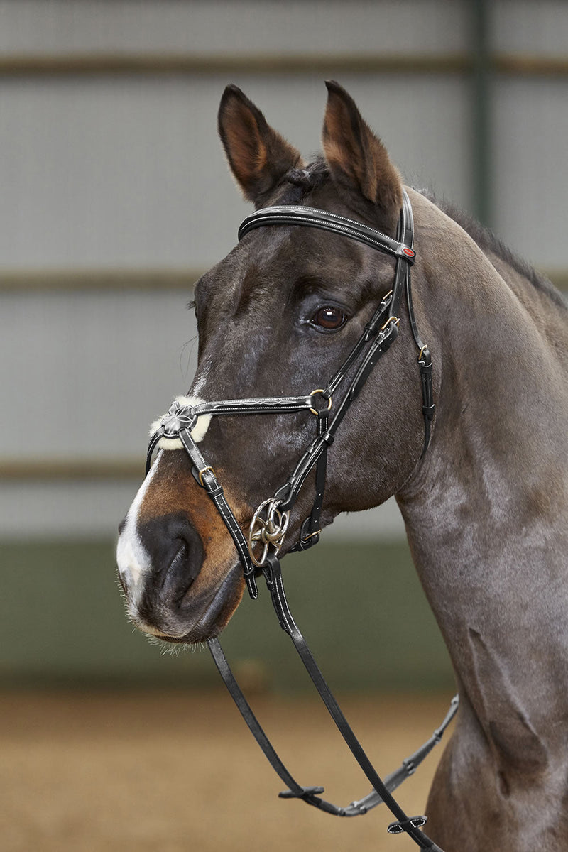 Load image into Gallery viewer, Whitaker Bp052 Valencia 5 Point Breastplate Black - Ashurst Equestrian &amp; Country
