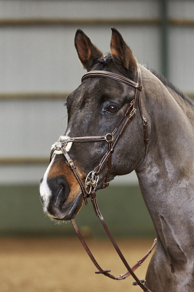 Load image into Gallery viewer, Whitaker Bp052 Valencia 5 Point Breastplate Havana - Ashurst Equestrian &amp; Country
