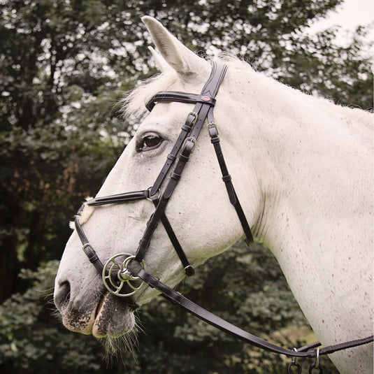 Whitaker Br050 A Eastwood Mexican Bridle C/W Reins Black - Ashurst Equestrian & Country