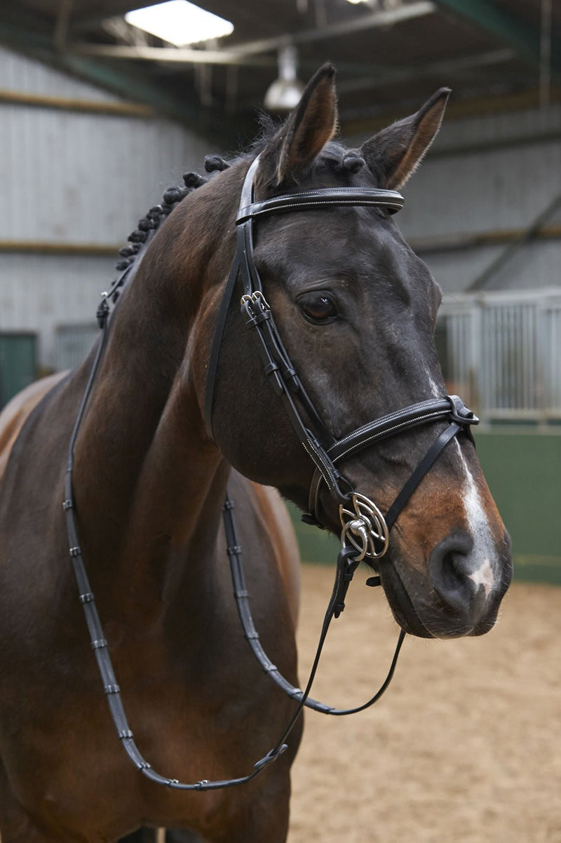 Load image into Gallery viewer, Whitaker Br051 A Eastwood Raised Flash Bridle C/W Reins Black - Ashurst Equestrian &amp; Country
