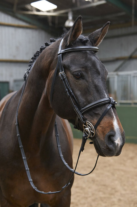 Whitaker Br051 A Eastwood Raised Flash Bridle C/W Reins Black - Ashurst Equestrian & Country
