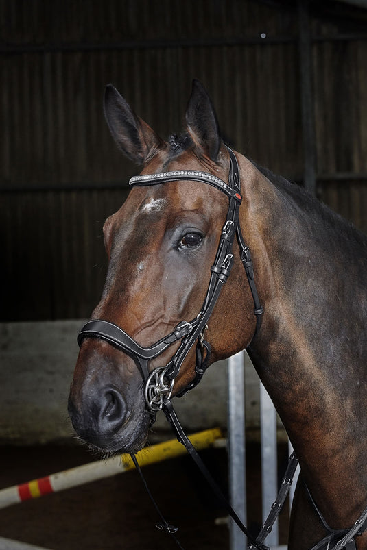 Whitaker Br070 Chicago Anatomic Bridle C/W Reins Black - Ashurst Equestrian & Country