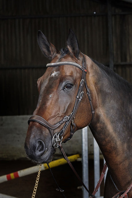 Whitaker Br070 Chicago Anatomic Bridle C/W Reins Havana - Ashurst Equestrian & Country