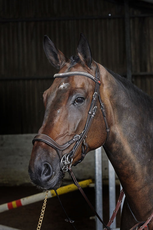 Whitaker Br070 Chicago Anatomic Bridle C/W Reins Havana - Ashurst Equestrian & Country