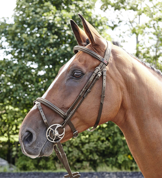 Whitaker Br077 Barton Raised Flash Bridle Havana - Ashurst Equestrian & Country