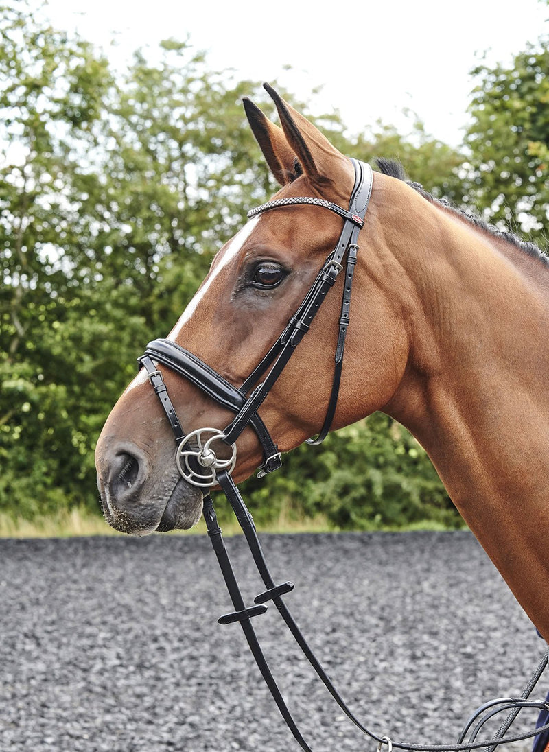 Load image into Gallery viewer, Whitaker Br078 Barton Bling Flash Bridle Black - Ashurst Equestrian &amp; Country

