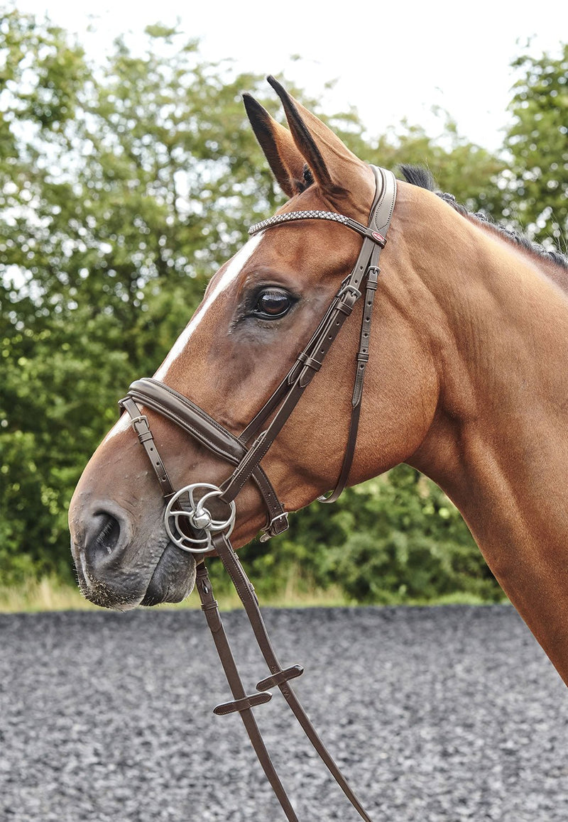 Load image into Gallery viewer, Whitaker Br078 Barton Bling Flash Bridle Havana - Ashurst Equestrian &amp; Country
