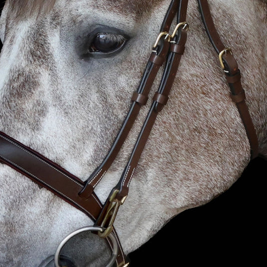 Whitaker Br102 Rome Bridle C/W Reins Havana - Ashurst Equestrian & Country