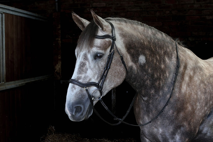 Whitaker Br103 Stockholm Anatomic Bridle Black - Ashurst Equestrian & Country