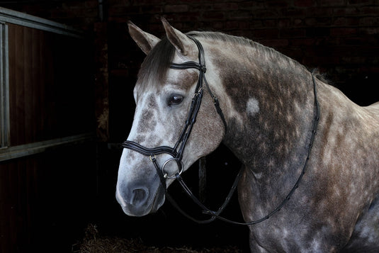 Whitaker Br103 Stockholm Anatomic Bridle Black - Ashurst Equestrian & Country